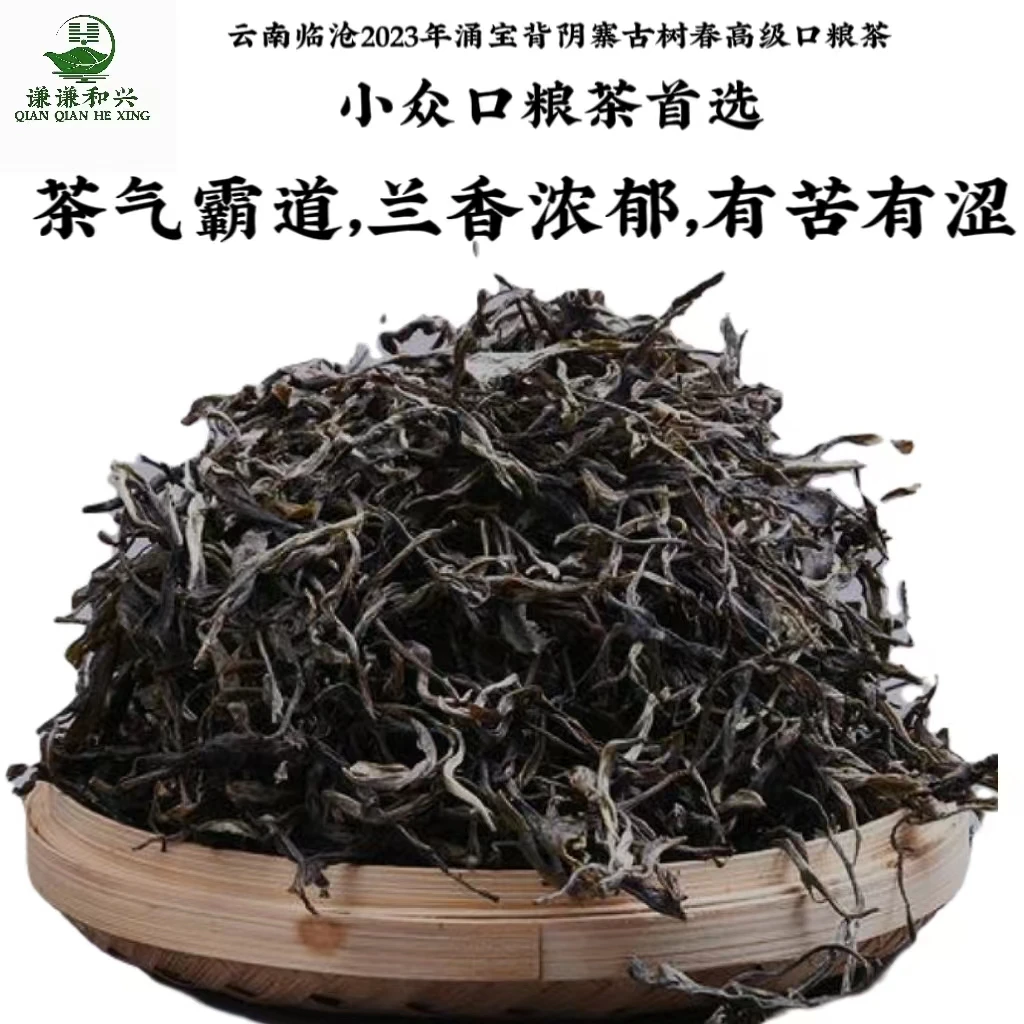 2023年背阴寨古树春茶