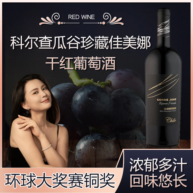 CONDE JOSE原瓶进口红酒智利科尔查瓜谷珍藏级佳美娜干红葡萄酒