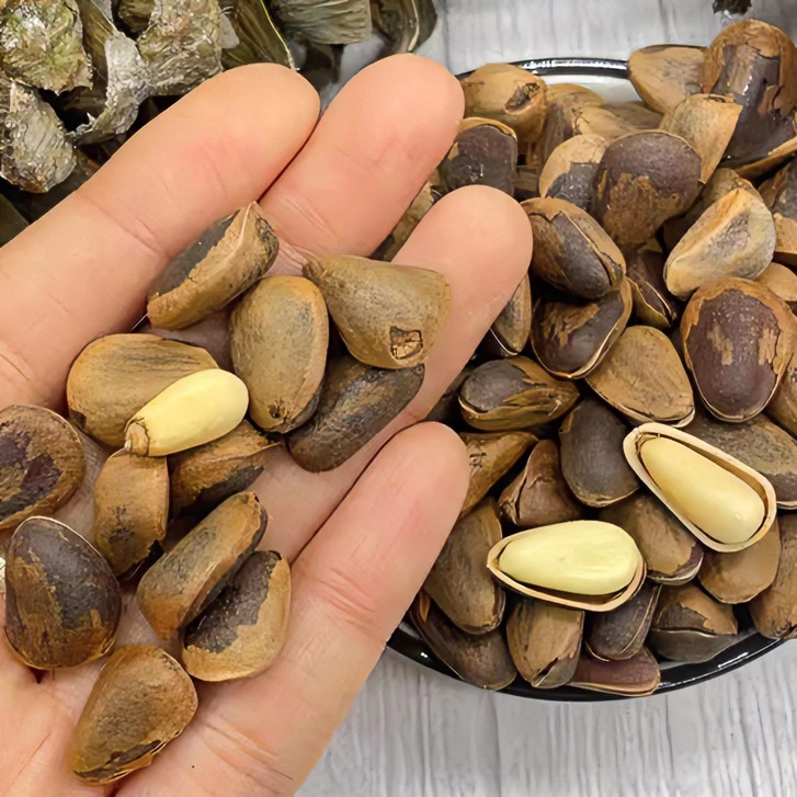 正宗东北开口松子坚果零食甄选大颗粒品质新鲜果仁饱满非油炸新货