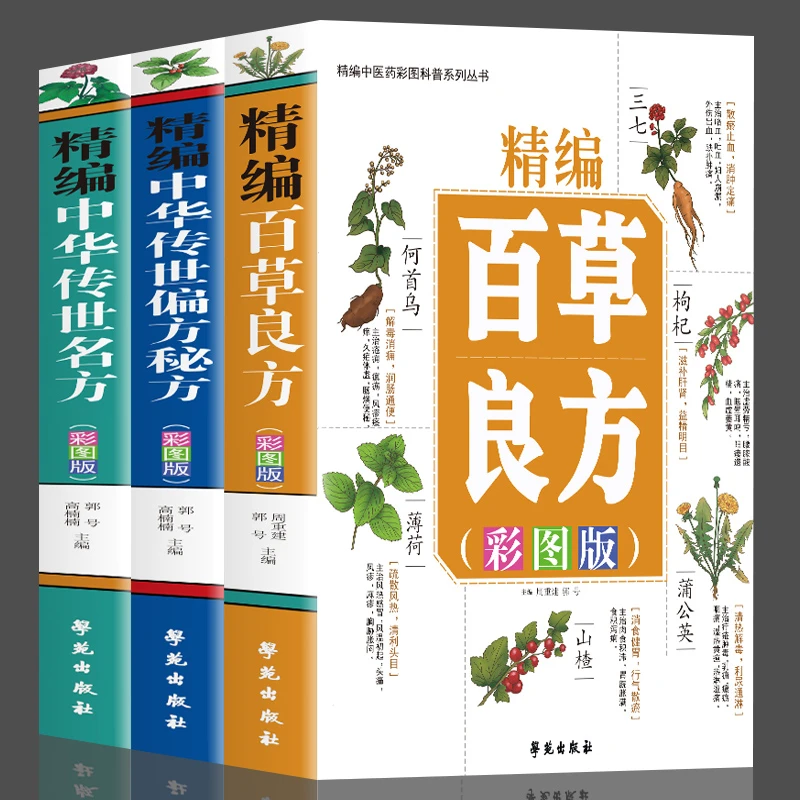 3册中华传世名方+中华传世偏方秘方+百草良方中医经典名著
