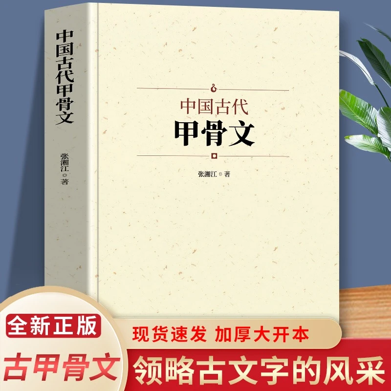 中国古代甲骨文国学经典历史文字中国说文解字汉字工具书古典文学
