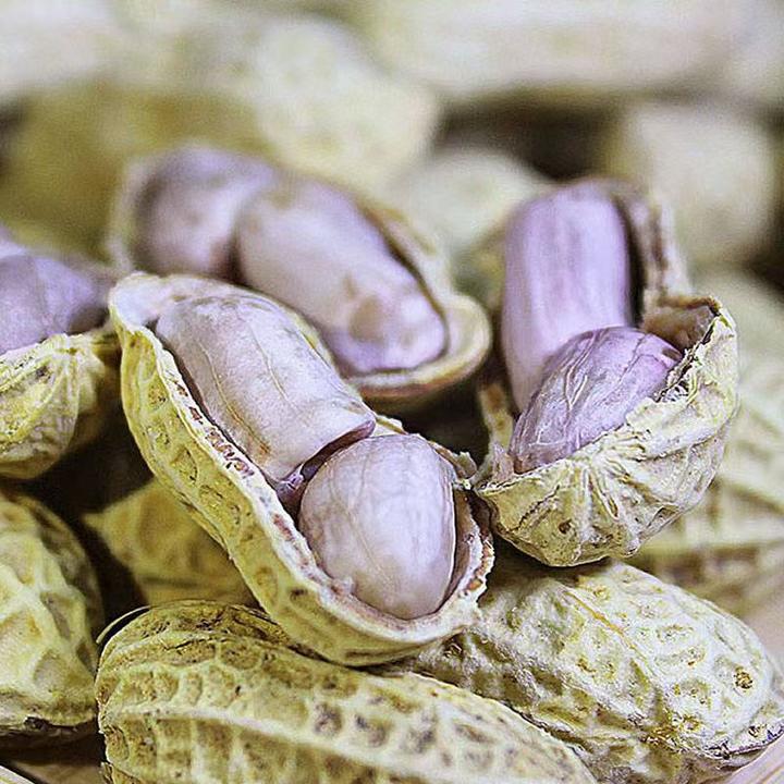 龙岩水煮白晒花生 紫衣湿烤咸干蒜香五香花生原味炒花生零食