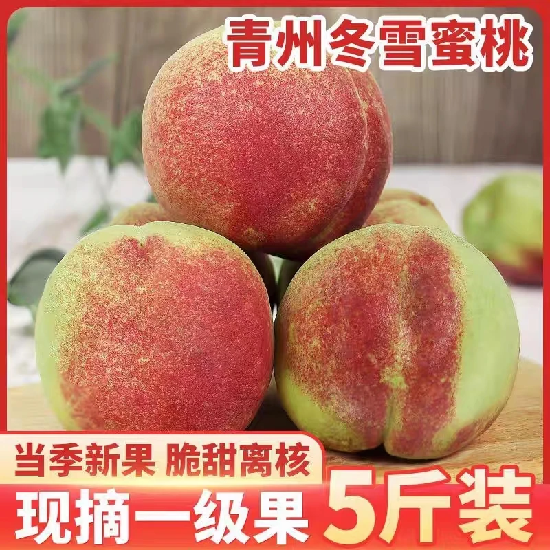 ÜVEii山东青州蜜桃小山桃冬雪蜜桃脆甜毛桃多汁秋冬桃果园直发