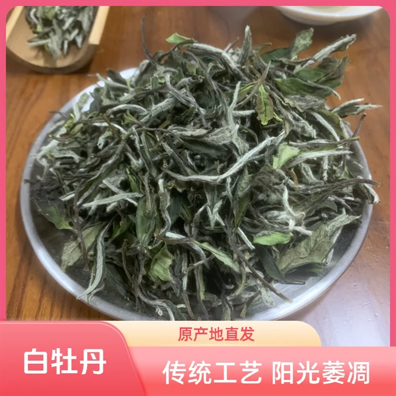 福鼎磻溪核心产区白茶 2024年新茶白牡丹散茶花香高山茶叶