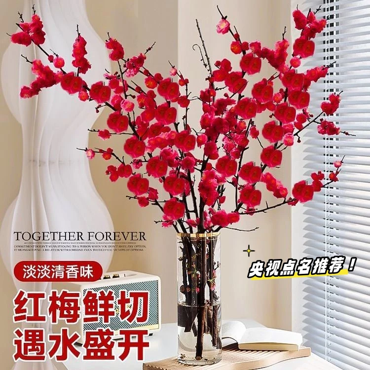 鲜枝红梅腊梅客厅水培植物室内花卉四季好养耐寒水培浓香型带花苞