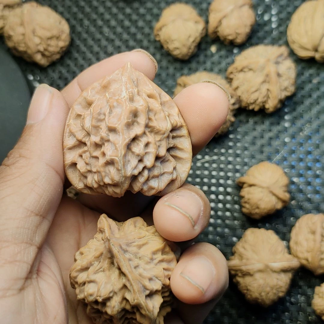 文玩核桃手串用****4虎头王金蝉官帽