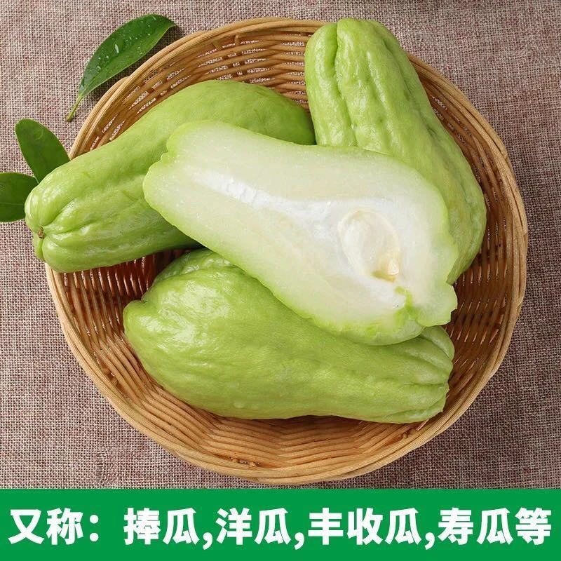 【云南自产】佛手瓜新鲜现摘蔬菜瓜洋瓜丰收瓜寿瓜3斤5斤9斤