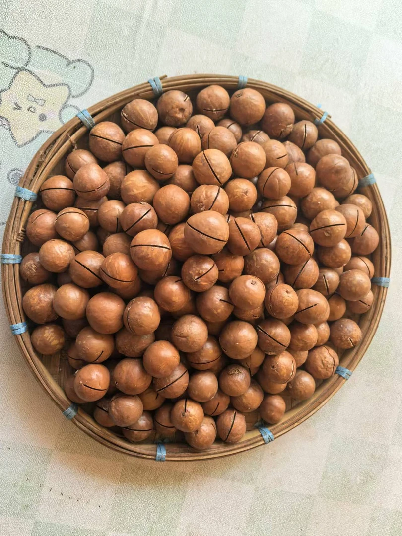 夏威夷果1000克澳洲坚果奶香味原味坚果休闲零食生果开口1000克