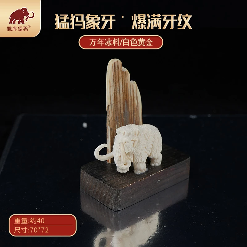 AS 00508 天然猛犸牙 70*72小象摆件 支持鉴定假一罚四