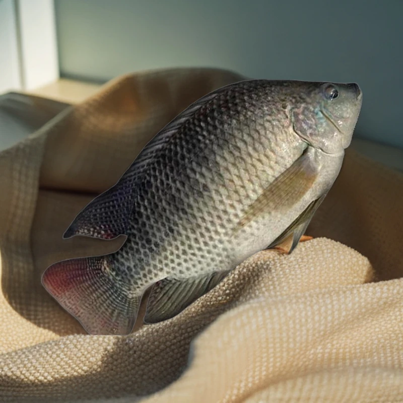 鲜嫩泡椒鱼皮酸辣开胃袋装凉拌菜爽脆营养