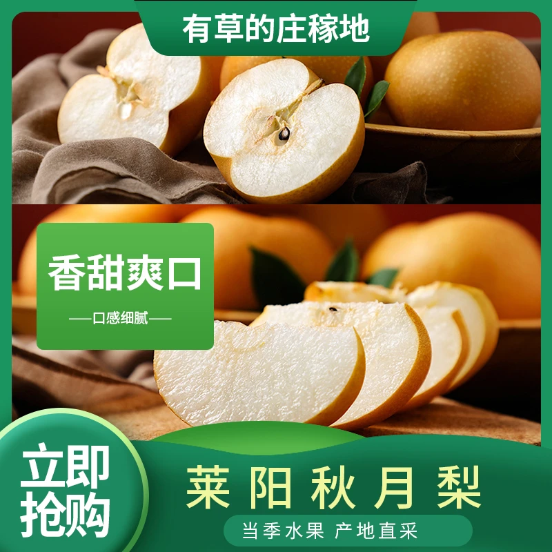山东秋月梨新鲜冰糖梨子水果细腻汁水品质口感美味香甜观赛搭子