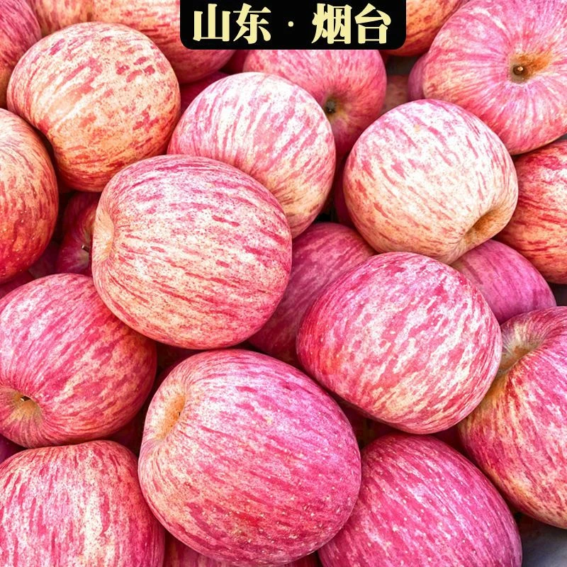 烟台红富士苹果山东栖霞5斤整箱3斤清脆脆甜新鲜应季水果薄皮大果