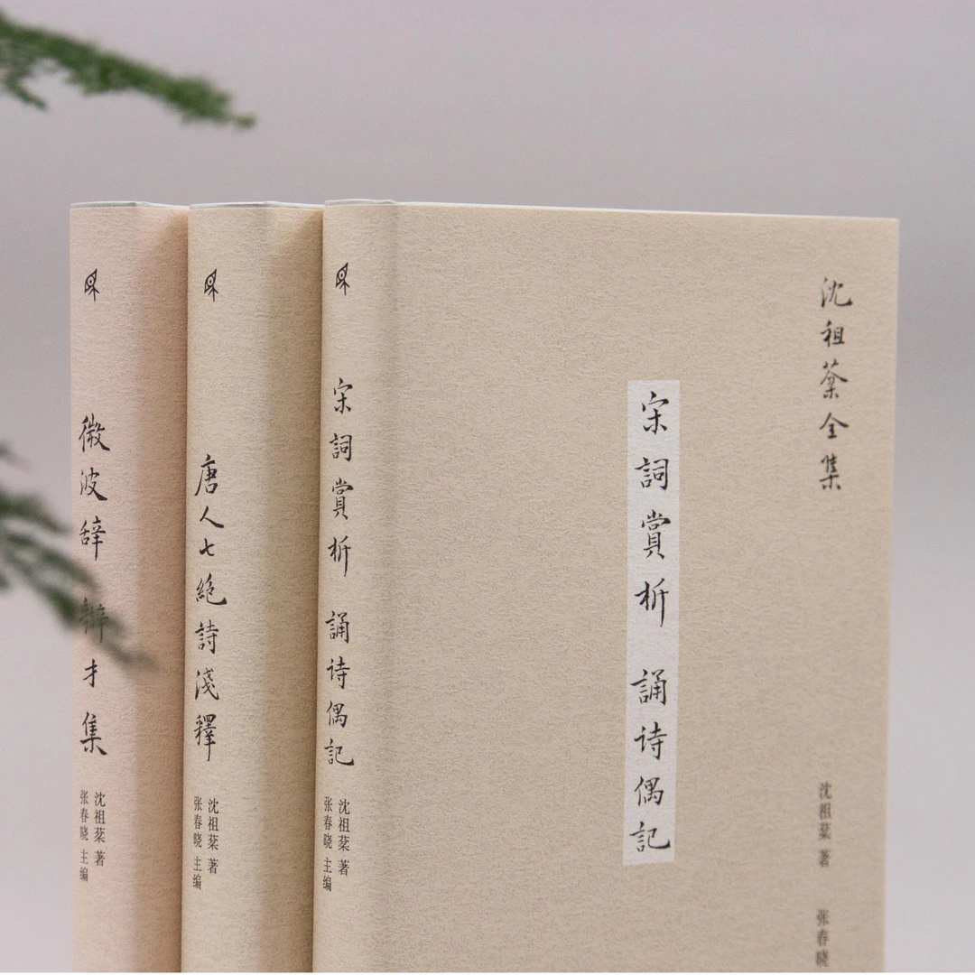 沈祖棻全集（全五册）
