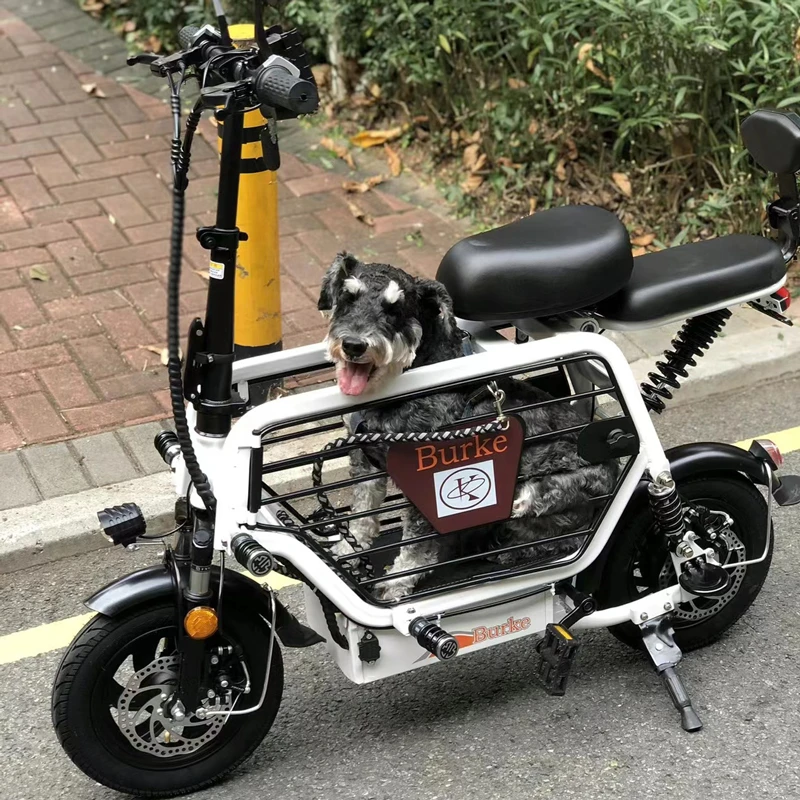 柏克新国标小型电动车折叠亲子款女带娃接送孩子电瓶车遛狗宠物车