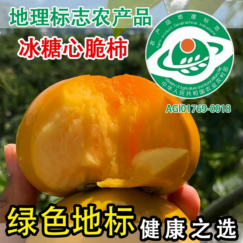【冰糖心脆柿子】新鲜水果上市冰糖心脆甜柿原产地果园现货整箱直发