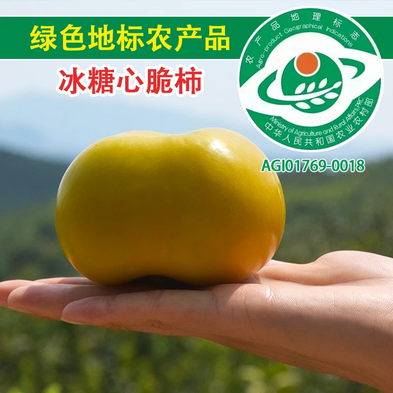 【冰糖心脆柿子】新鲜水果上市冰糖心脆甜柿原产地果园现货整箱直发