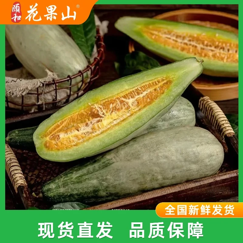 颐和花果山嘎嘎脆羊角蜜 新鲜松脆香瓜现摘羊角蜜甜瓜香甜包赔