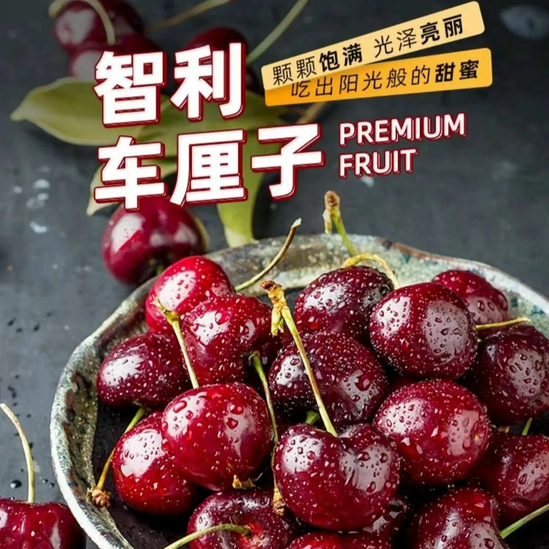 智利海运Santina桑提娜车厘子颗颗甄选XL/10斤 内附果径卡