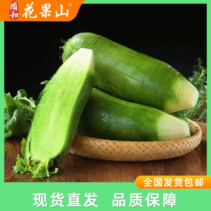 【潍县萝卜】山东省特产甜脆多汁叶丛半立直羽状裂叶叶色弄绿有光泽