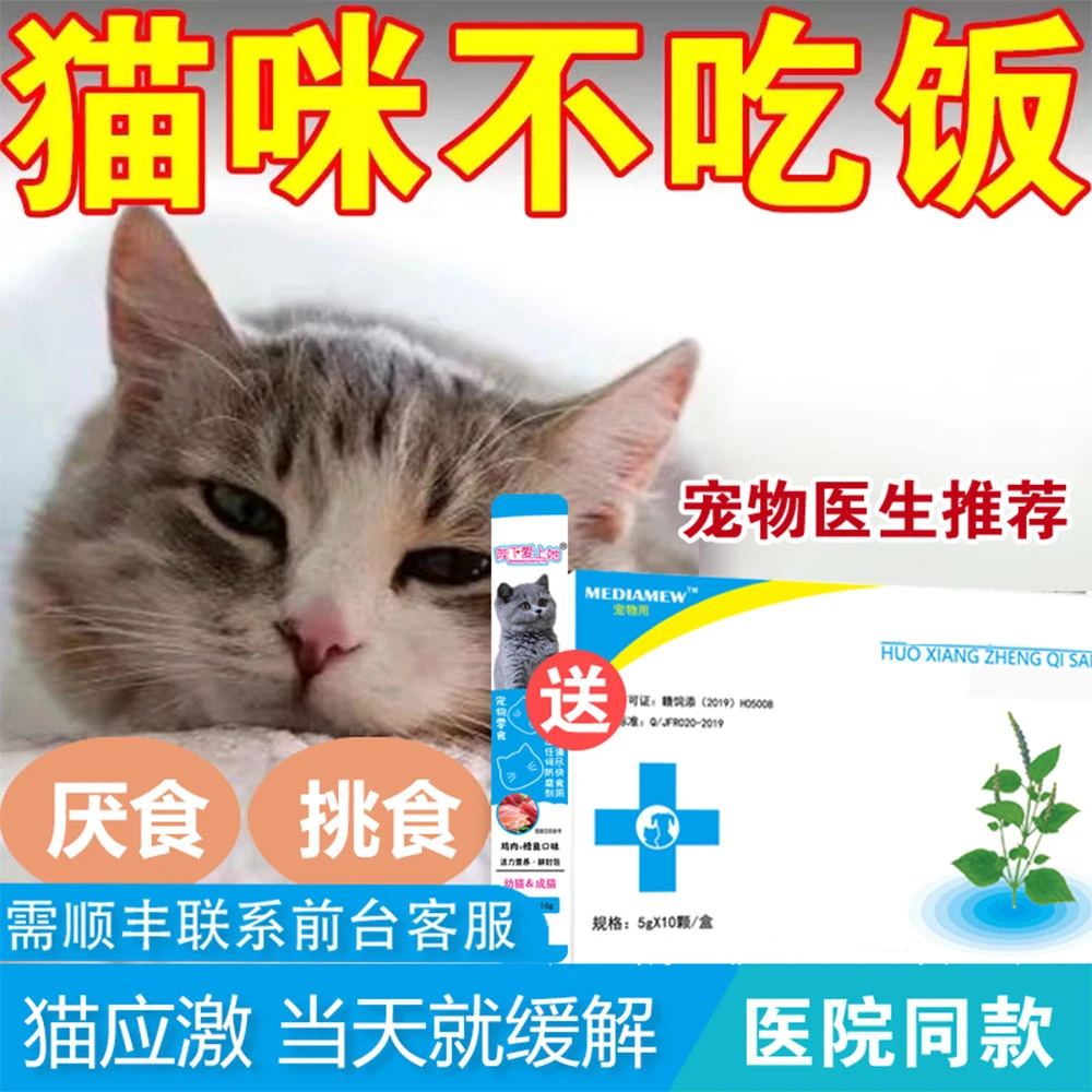 Peneral Han宠物狗防厌食挑食猫咪高温不吃猫粮食欲下降