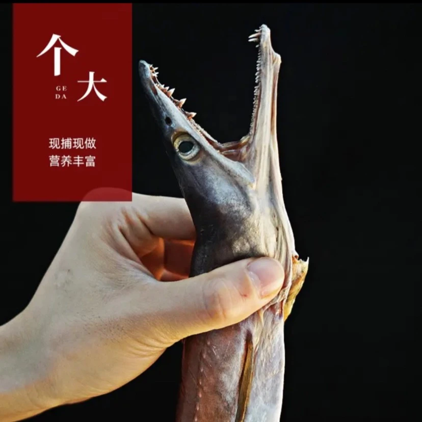 捕鱼人新品舟山野生风鳗海风吹晒收到湿的冷冻保存江浙沪顺丰包邮