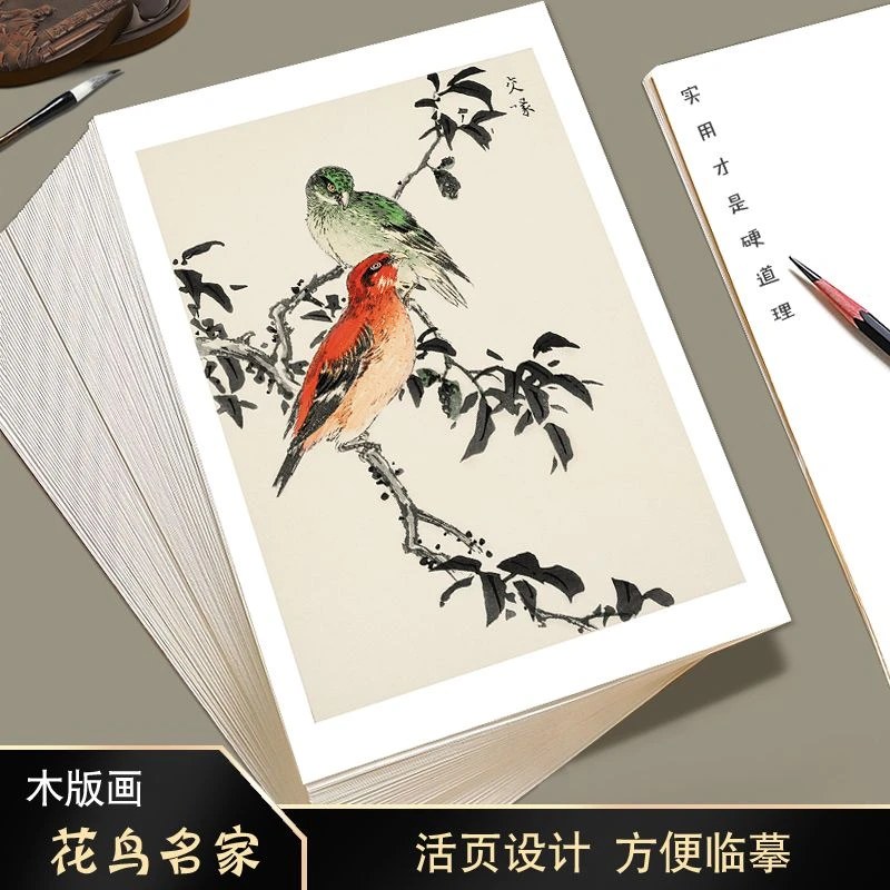 [国画临摹卡花鸟名家木板画]中国风初学者绘画入门教学全套48幅