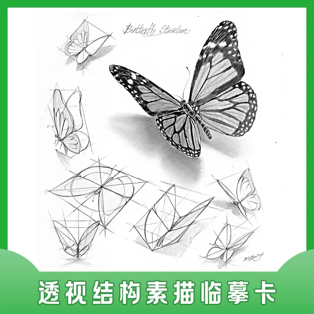 〔精选透视结构素描临摹卡〕静物绘画步骤参考范画素材画室教学材料