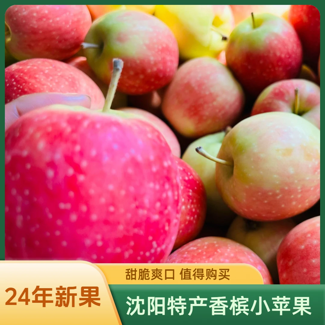 自家东北香槟小苹果，纯甜无酸，甜脆爽口，3斤5斤装(中通快递包邮)