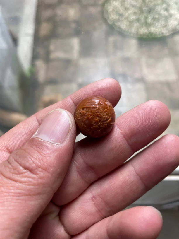 1.9铁核正圆 锦绣山河