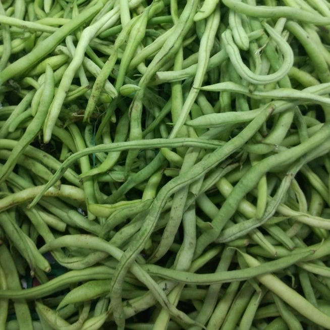 豆王900-1100g