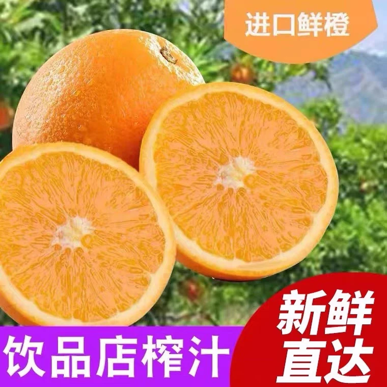 现货南非脐橙进口甜橙子新鲜水果手剥橙澳橙多省包邮 5斤装