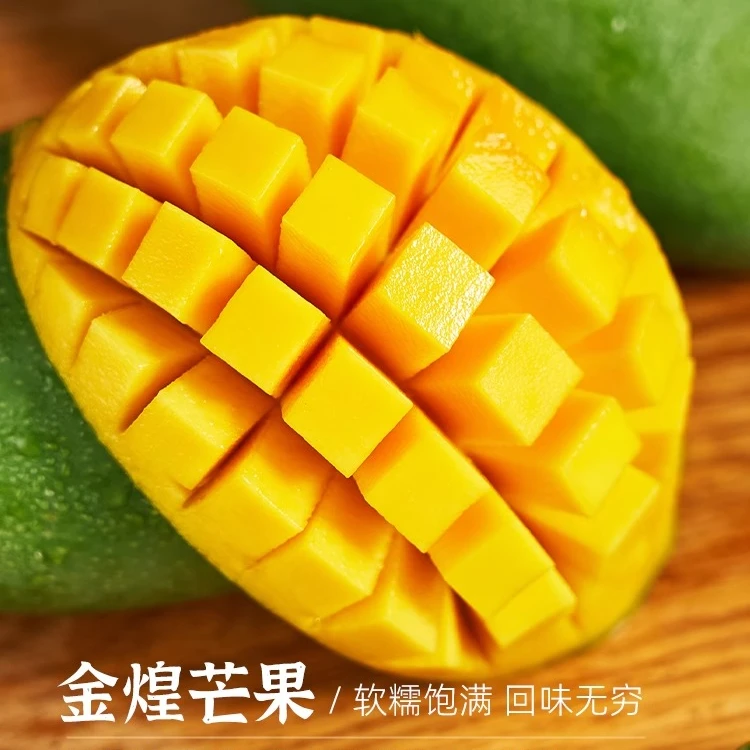 【放软食用】广西百色青皮金煌芒当季新鲜水果高山老树金黄大青芒