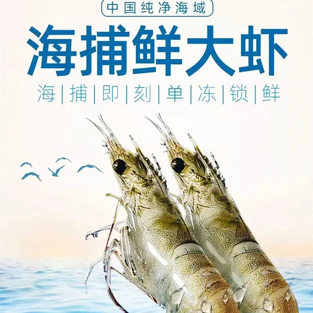 【中大号】海捕海洋大虾海水大虾14-16cm 活冻3斤 冷链发货