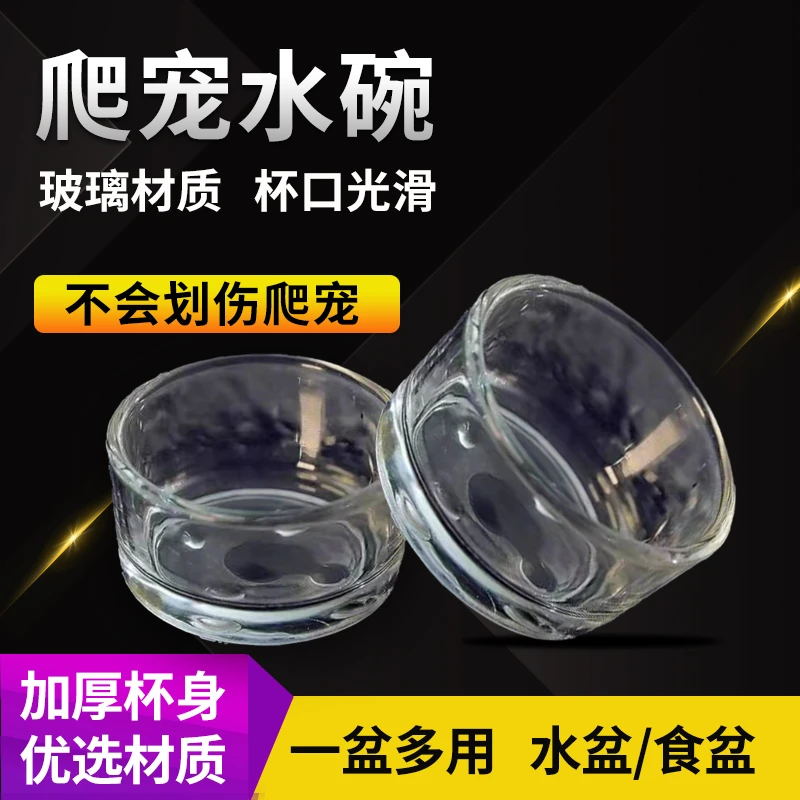 爬宠玻璃水碗食碗