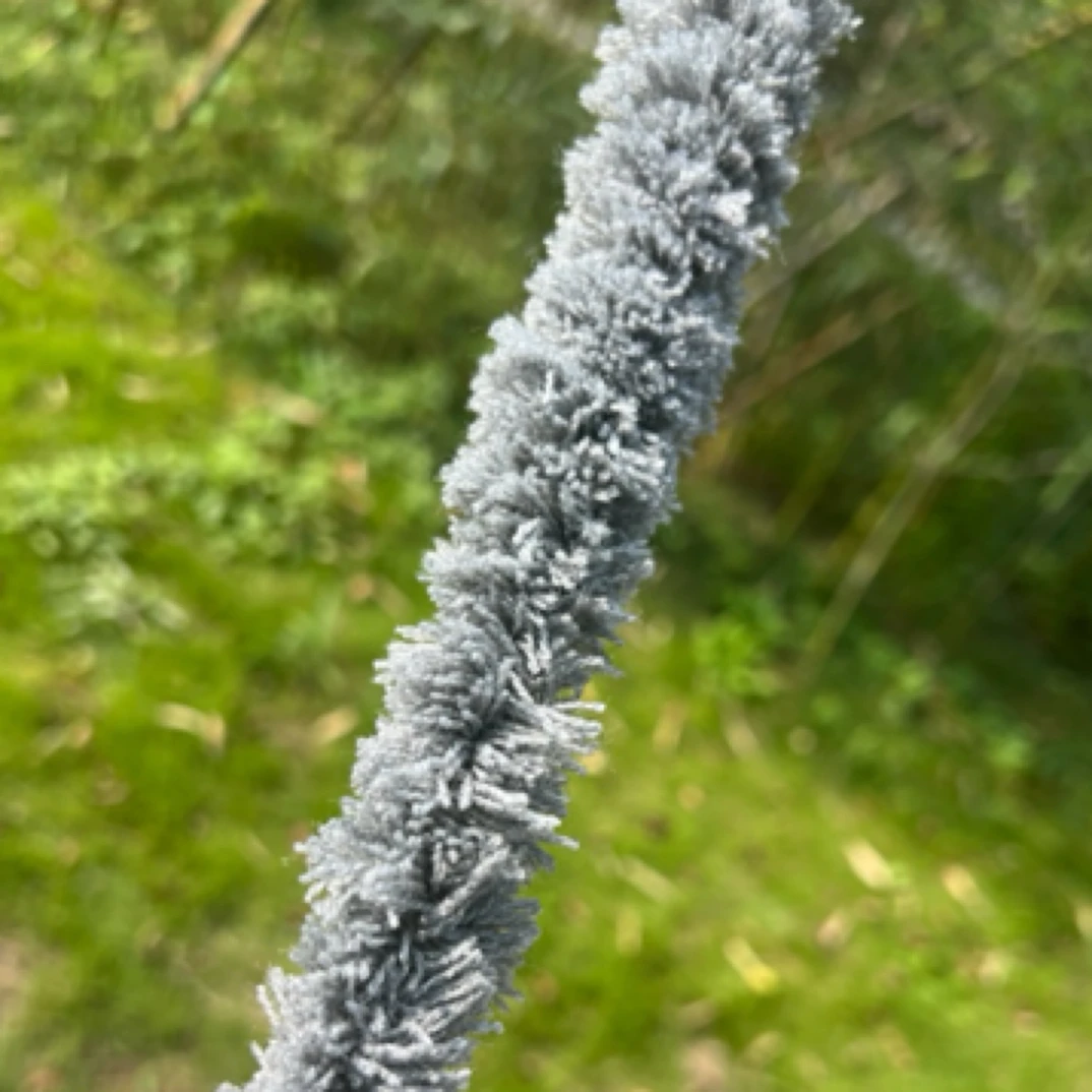 洞箫毛刷100cm 清洁保养