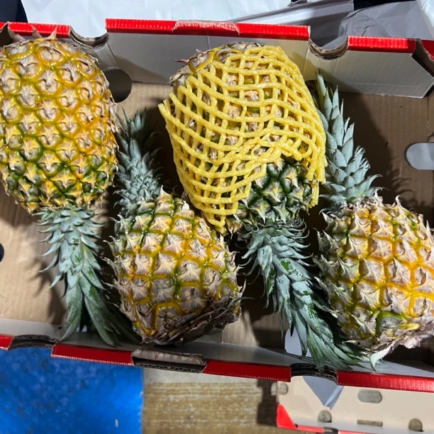 海南新鲜菠箩一箱