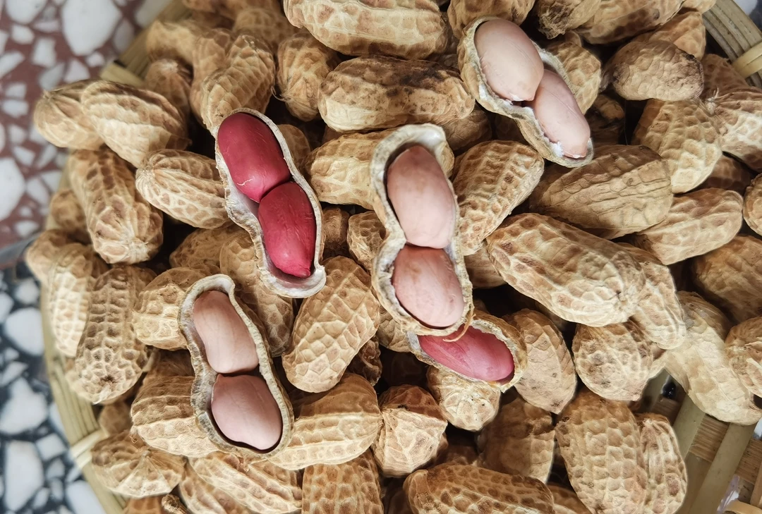 农户自种红皮+白皮花生（代买）