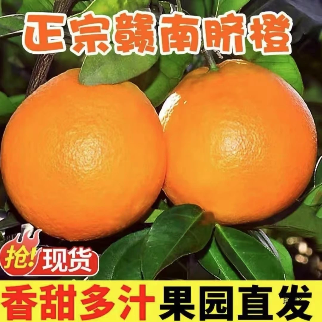 京东送货上门赣南脐橙连箱江西赣州特产头茬细腻新鲜脐橙天然香甜