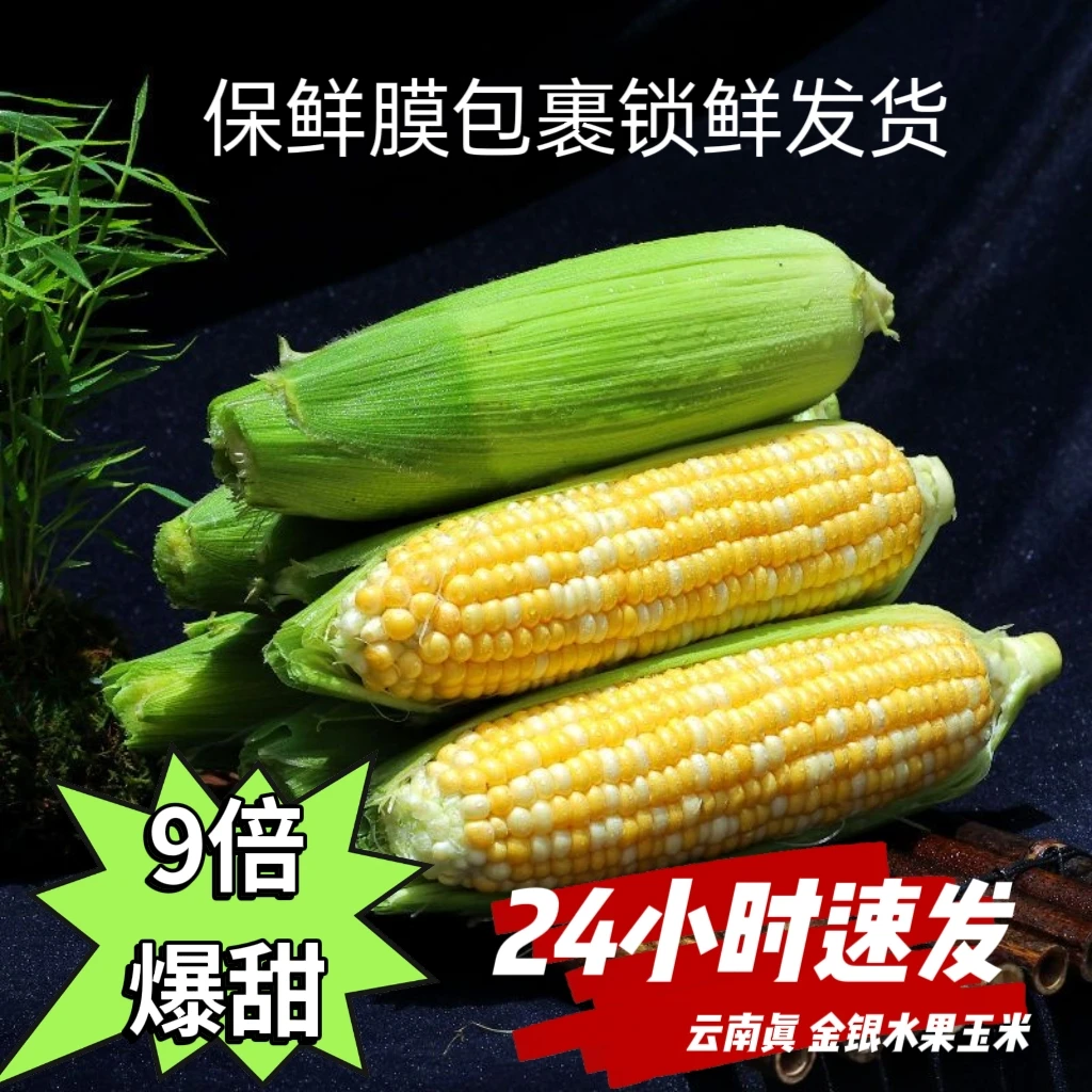 精品云南双色水果玉米甜脆新鲜金银水果玉米生吃甜玉米夏日尝鲜