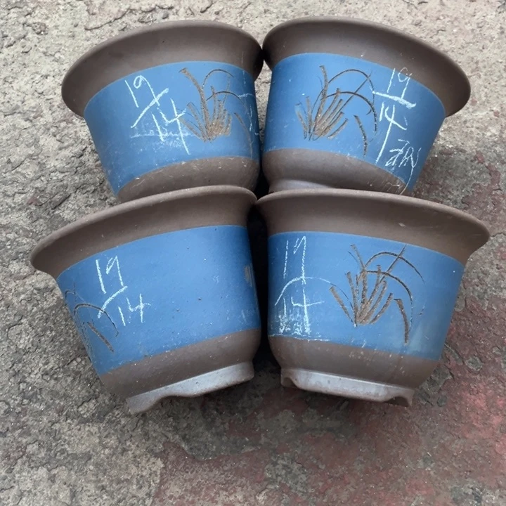 红陶20CM（含）-50CM（不含）