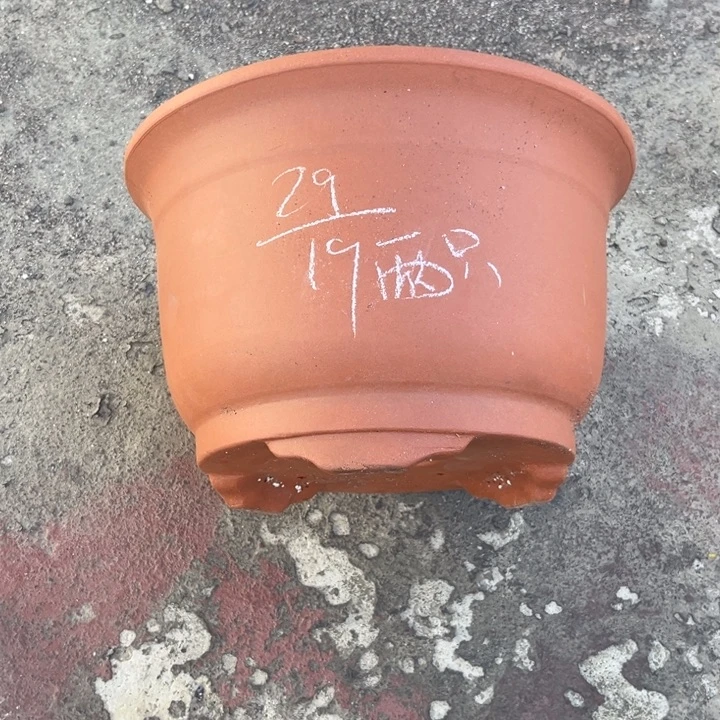 红陶20CM（含）-50CM（不含）