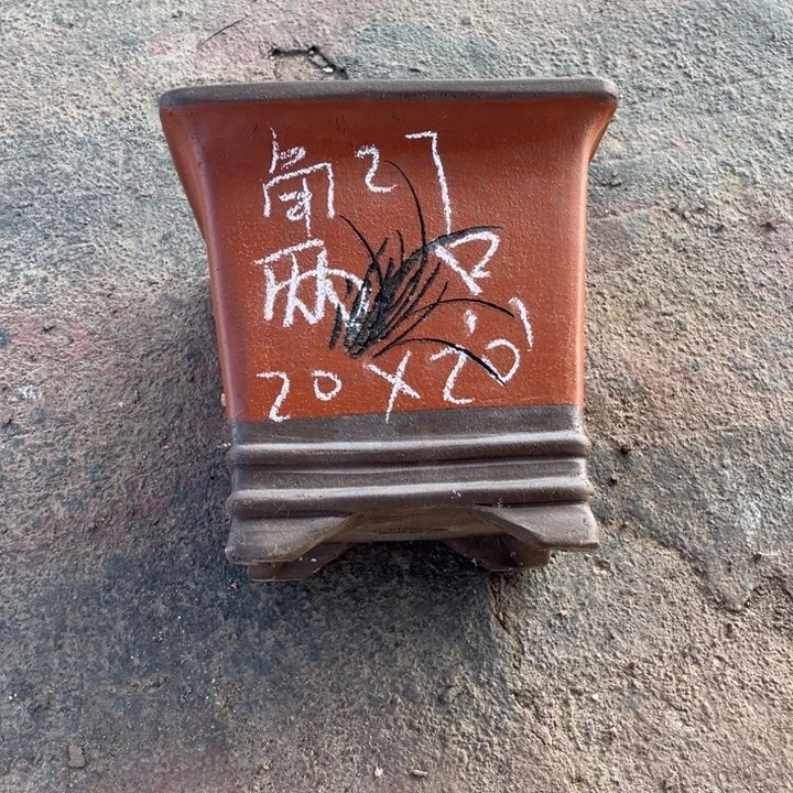 红陶20CM(含)-50CM(不含)