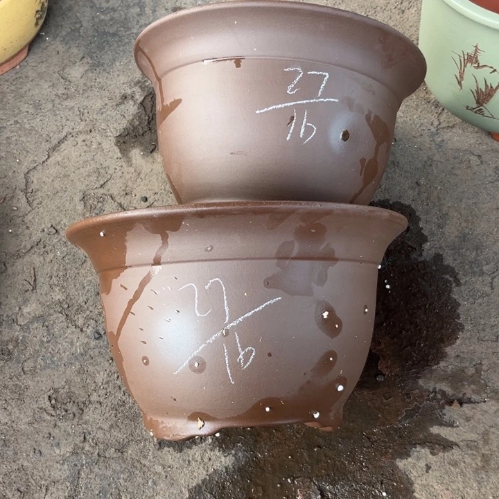 红陶20CM（含）-50CM（不含）