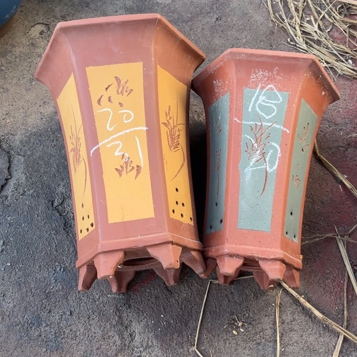 红陶20CM(含)-50CM(不含)
