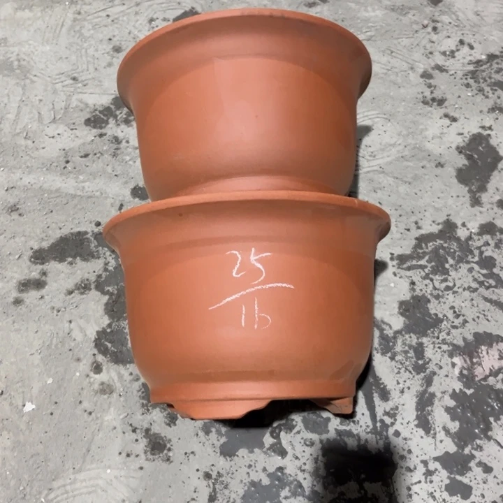 红陶20CM（含）-50CM（不含）