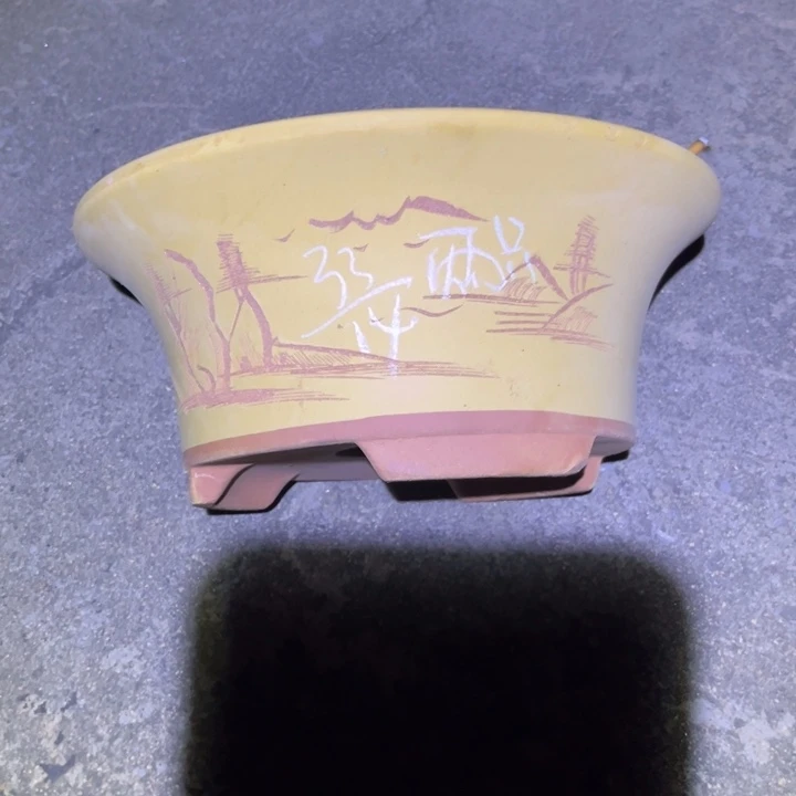 红陶20CM（含）-50CM（不含）