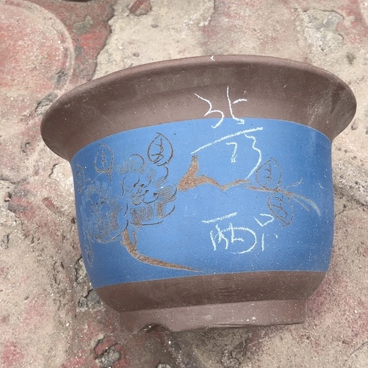 红陶20CM（含）-50CM（不含）