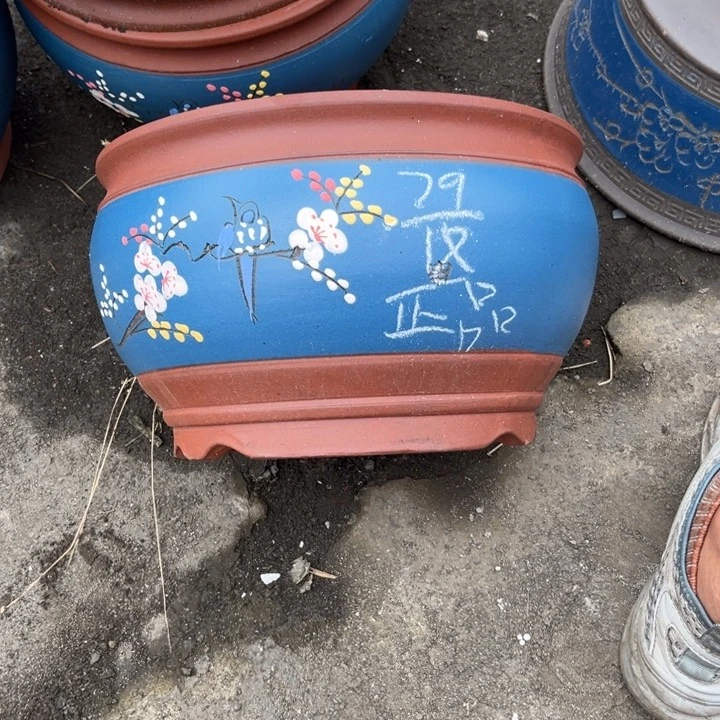 红陶20CM（含）-50CM（不含）