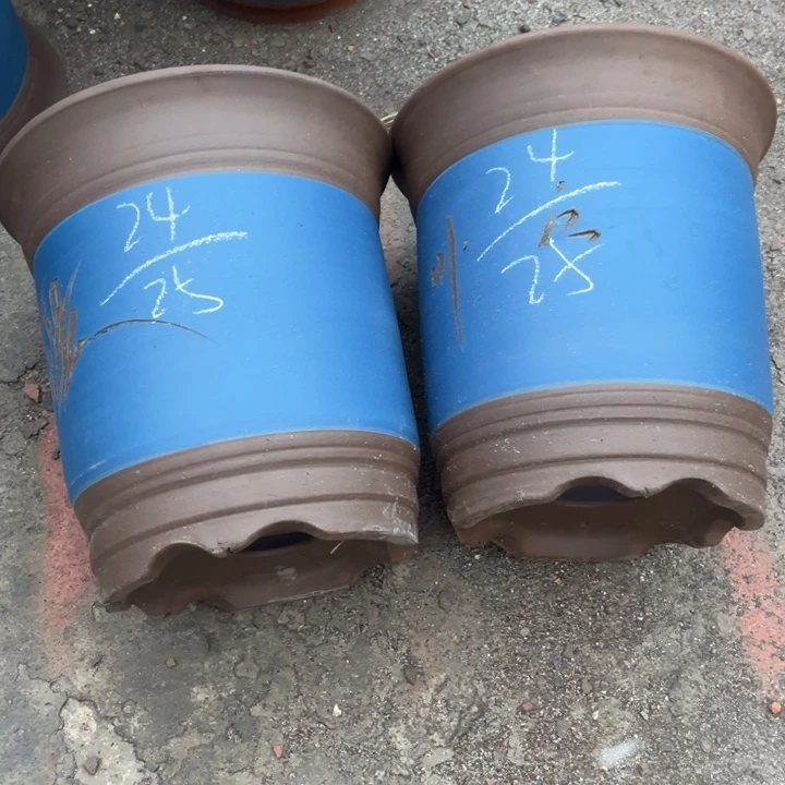 红陶20CM（含）-50CM（不含）
