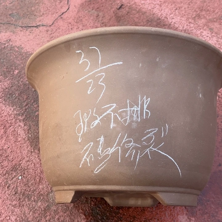 红陶20CM（含）-50CM（不含）